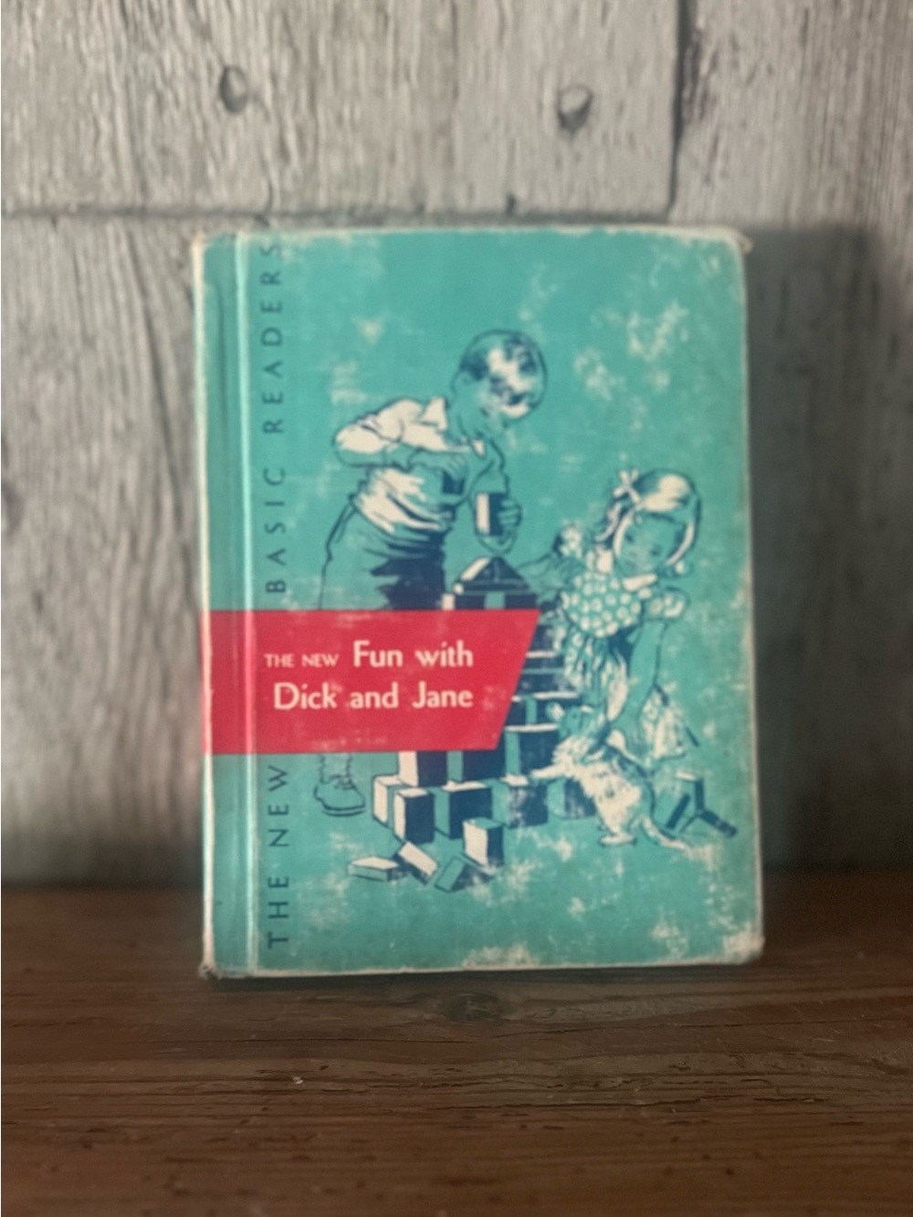 Vintage 'Fun with Dick and Jane' Children's Book - Teal & Red Cover